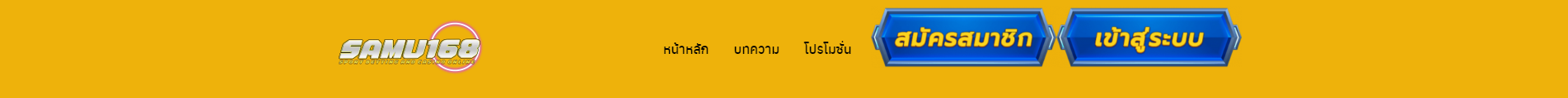 หน้าหลัก บทความ